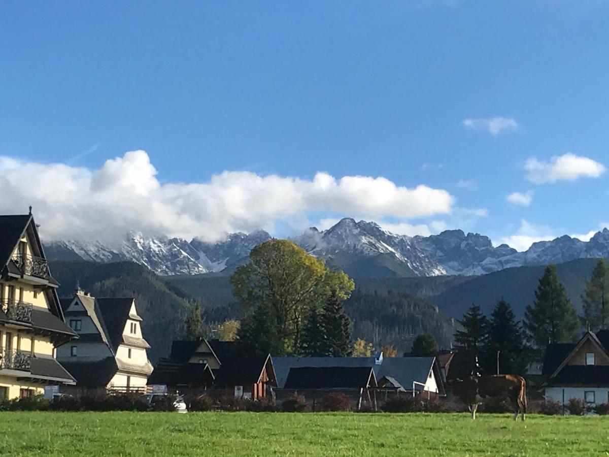 Camping Zakopane Willa Skoczek Oferta Nie Dotyczy Noclegu W Pokoju ,W Namiocie Reczniki Woda Mineralna , Koldra Poduszki Lub Spiwory Exterior foto