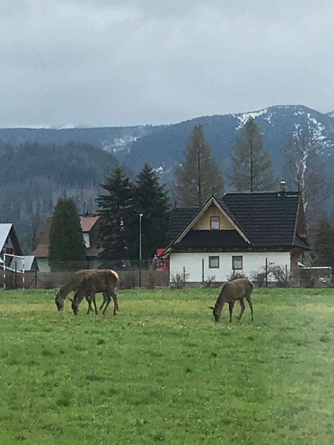 Camping Zakopane Willa Skoczek Oferta Nie Dotyczy Noclegu W Pokoju ,W Namiocie Reczniki Woda Mineralna , Koldra Poduszki Lub Spiwory Exterior foto