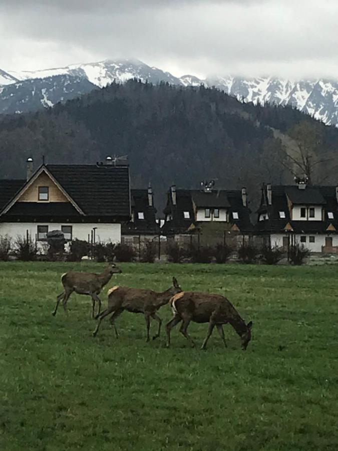 Camping Zakopane Willa Skoczek Oferta Nie Dotyczy Noclegu W Pokoju ,W Namiocie Reczniki Woda Mineralna , Koldra Poduszki Lub Spiwory Exterior foto